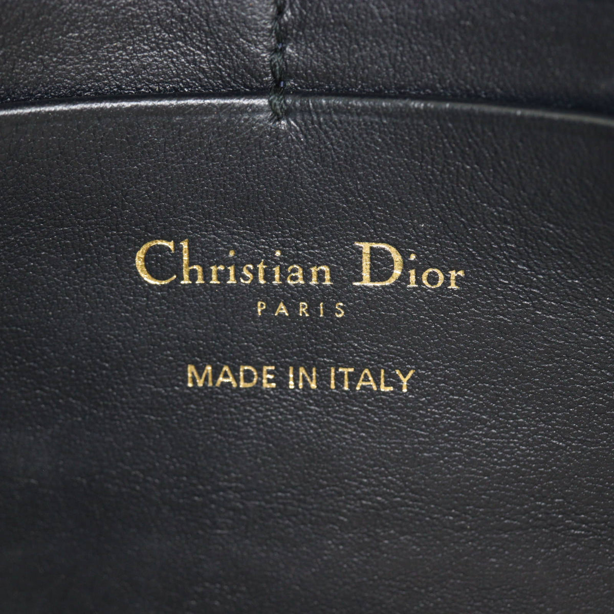 Dior Saddle Pouch Wallet on Chain Oblique_IMG_1877.jpg