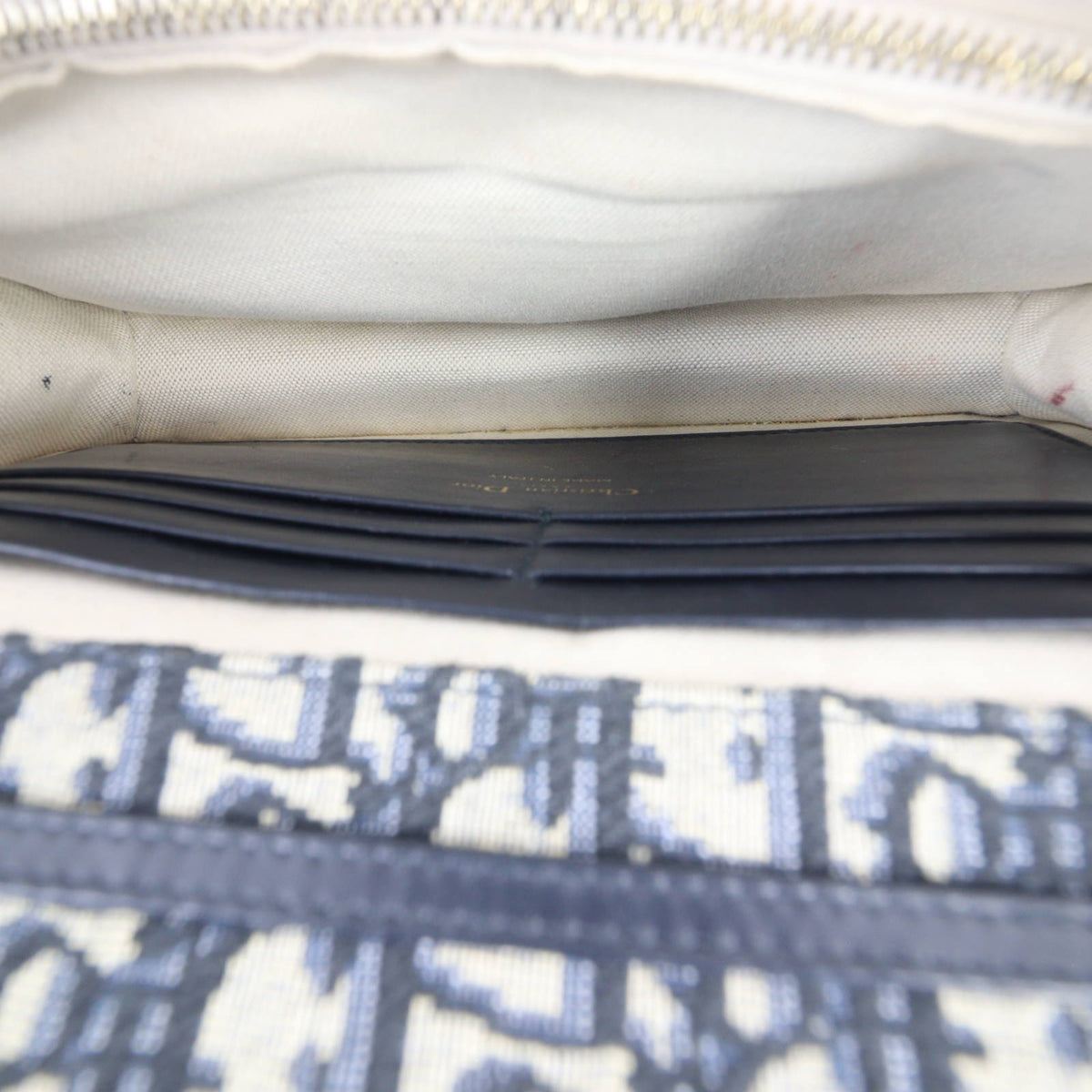 Dior Saddle Pouch Wallet on Chain Oblique_IMG_1882.jpg