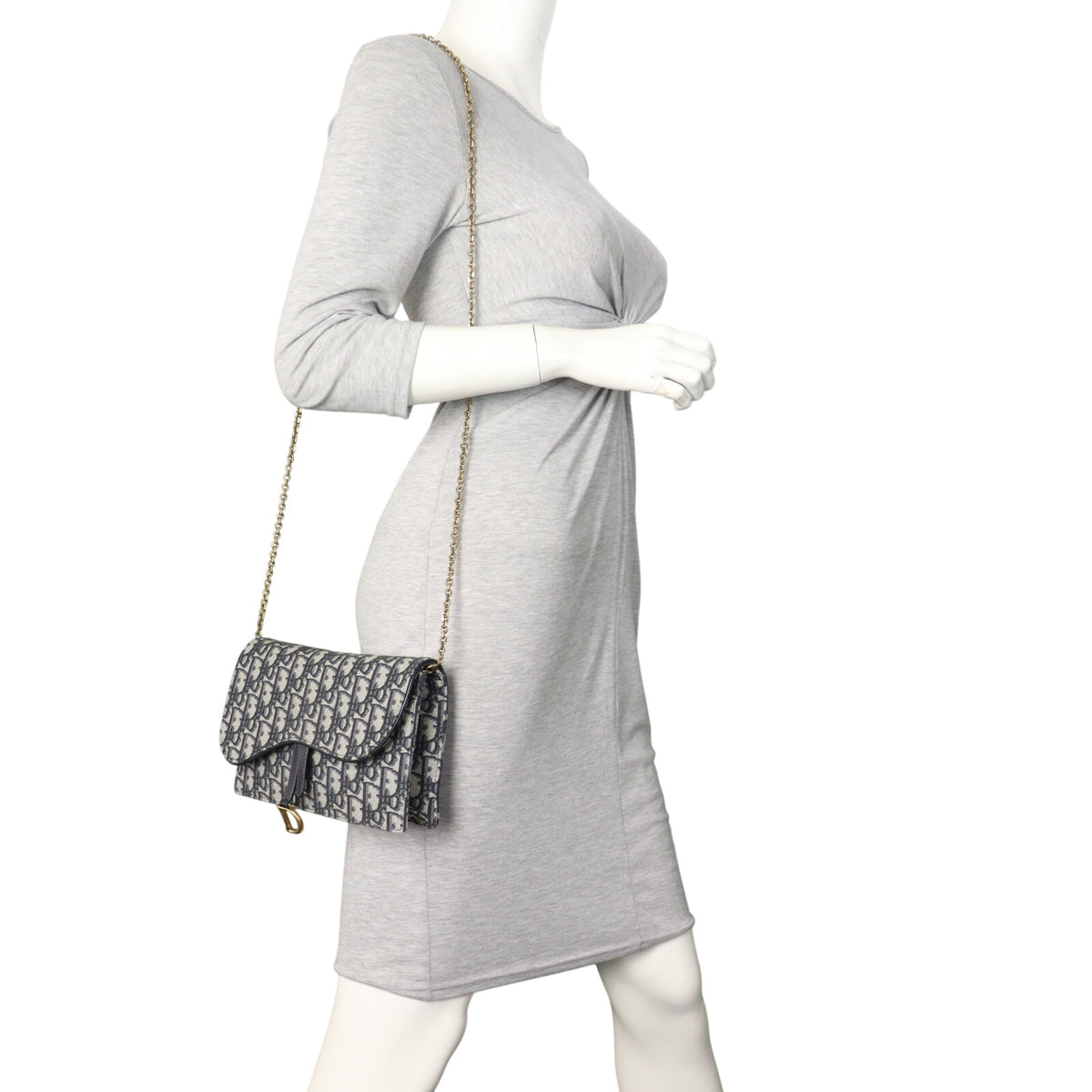 Dior Saddle Pouch Wallet on Chain Oblique_IMG_2063.jpeg
