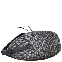 Dior Saddle Soft Bag Oblique_IMG_1934.jpeg