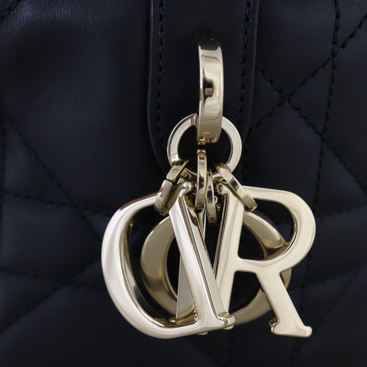 Dior Toujours Macrocannage Vertical Tote Small_IMG_1769.jpg