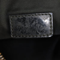 Dior Vintage Saddle Pochette_IMG_9853.jpg