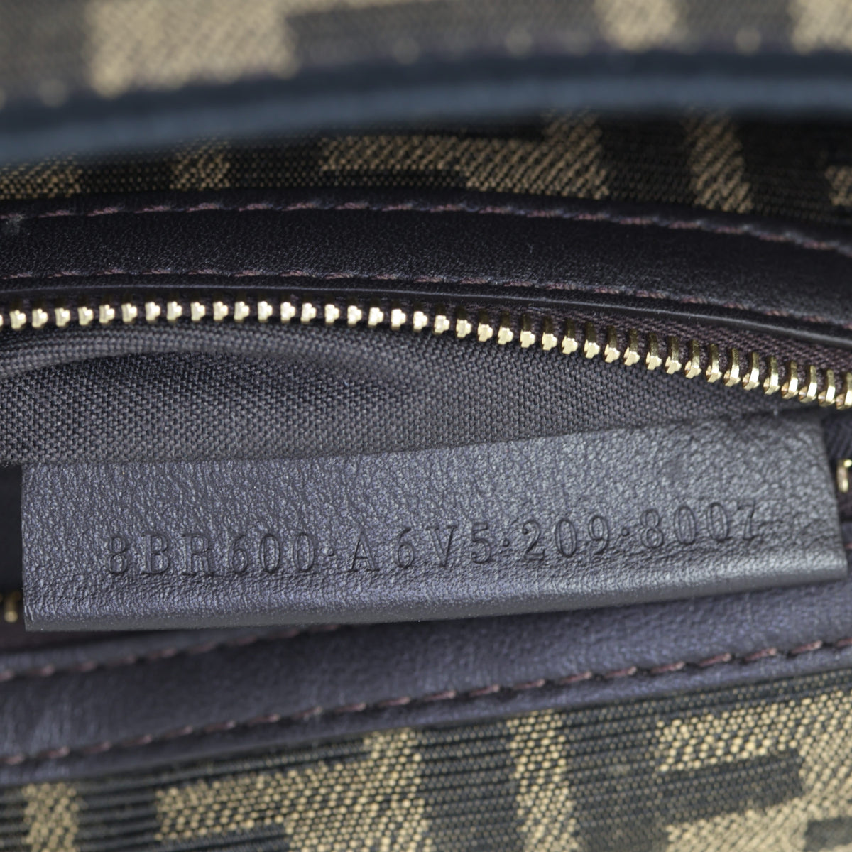 Fendi Baguette Bag Canvas_IMG_6984.jpg