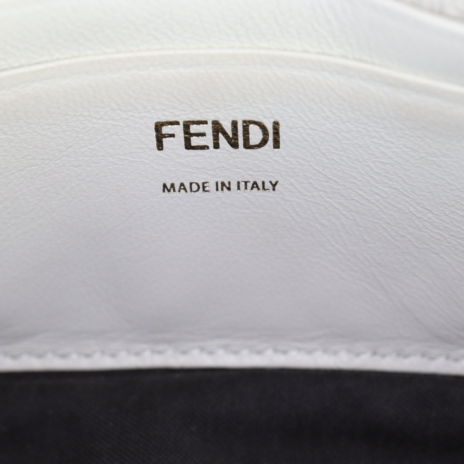 Fendi Baguette Mini Bag Embossed_IMG_1534.jpg