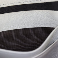 Fendi Baguette Mini Bag Embossed_IMG_1539.jpg