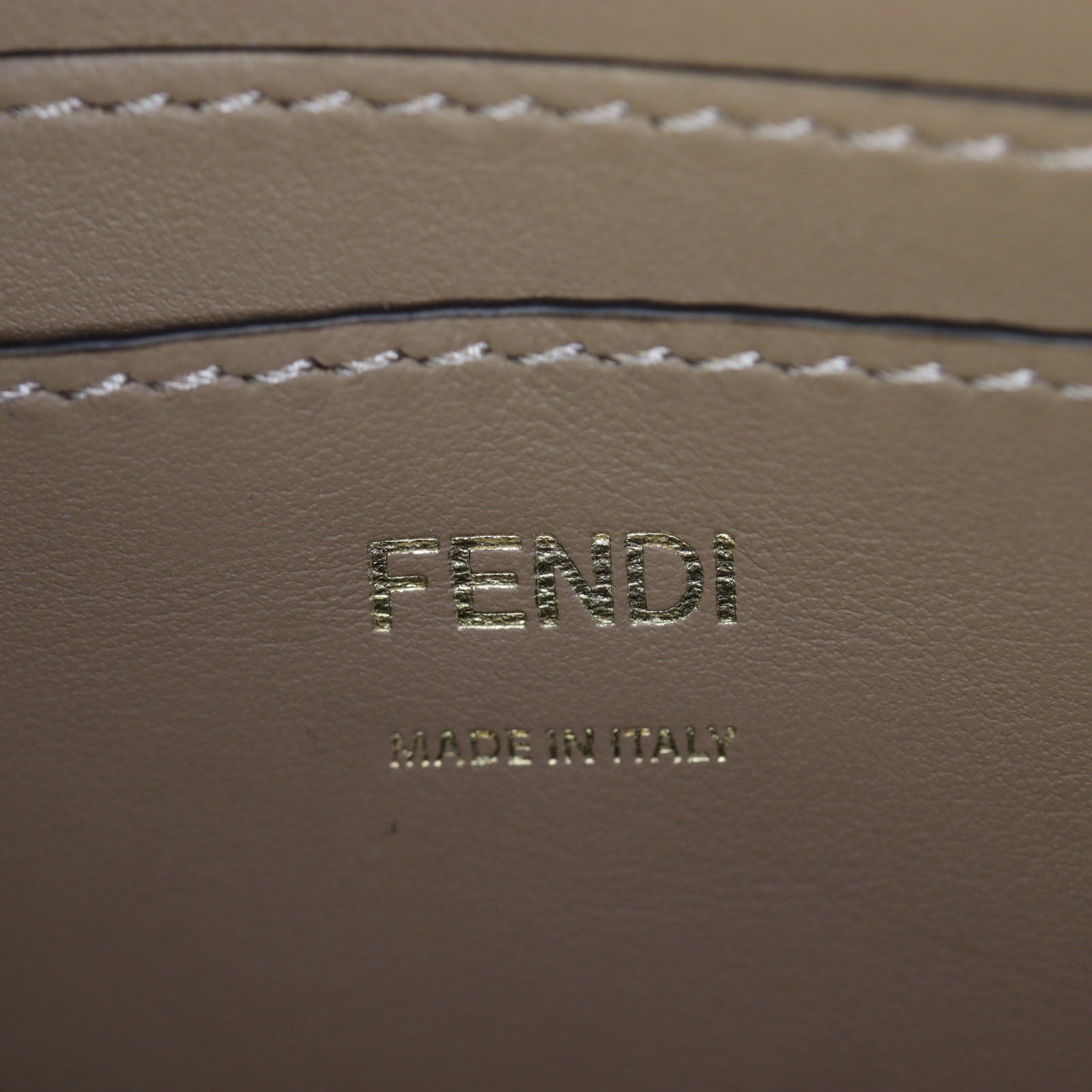 Fendi Baguette Pouch on Strap_IMG_1790.jpg
