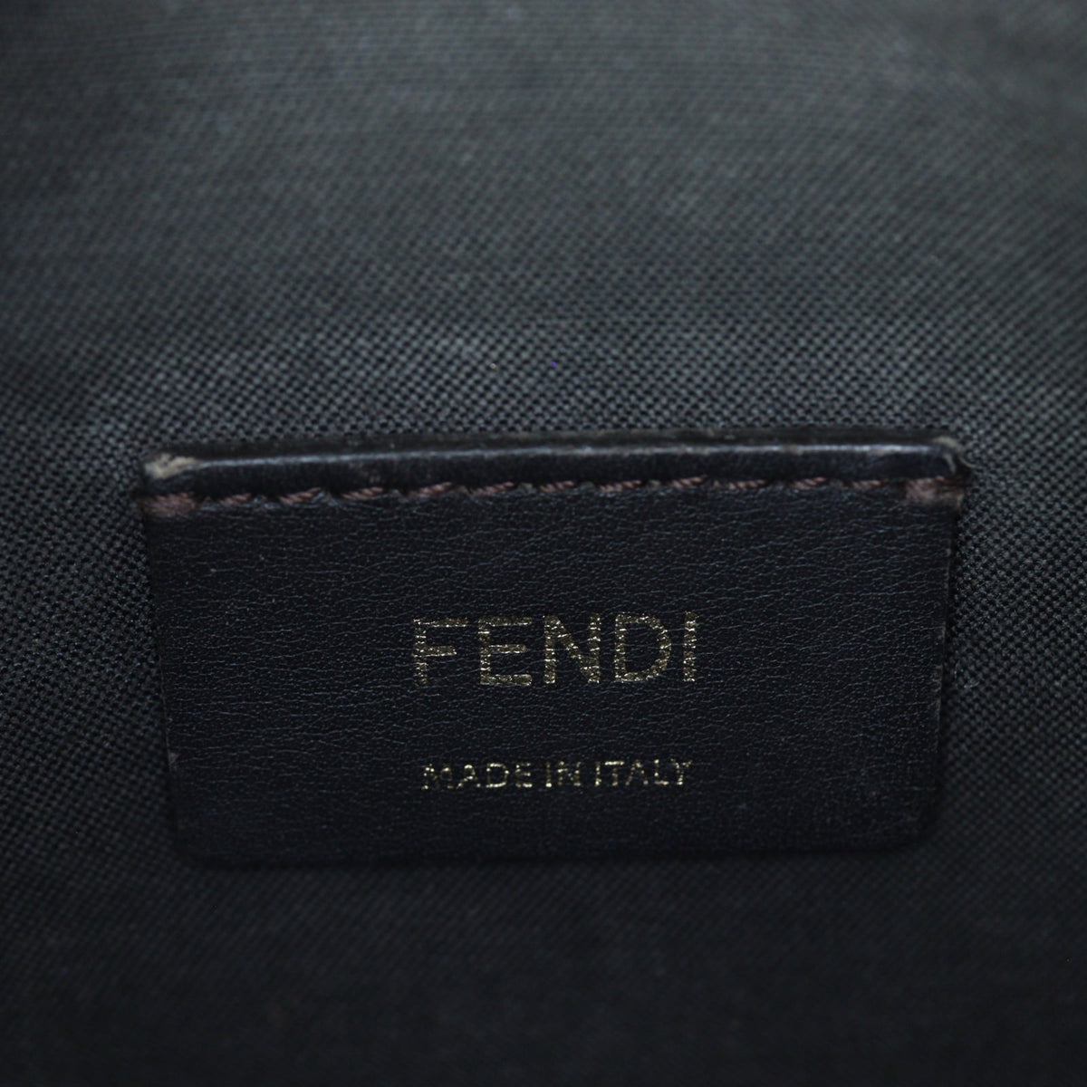 Fendi FF 1974 Camera Bag_IMG_5972.jpg