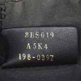 Fendi FF 1974 Camera Bag_IMG_5973.jpg