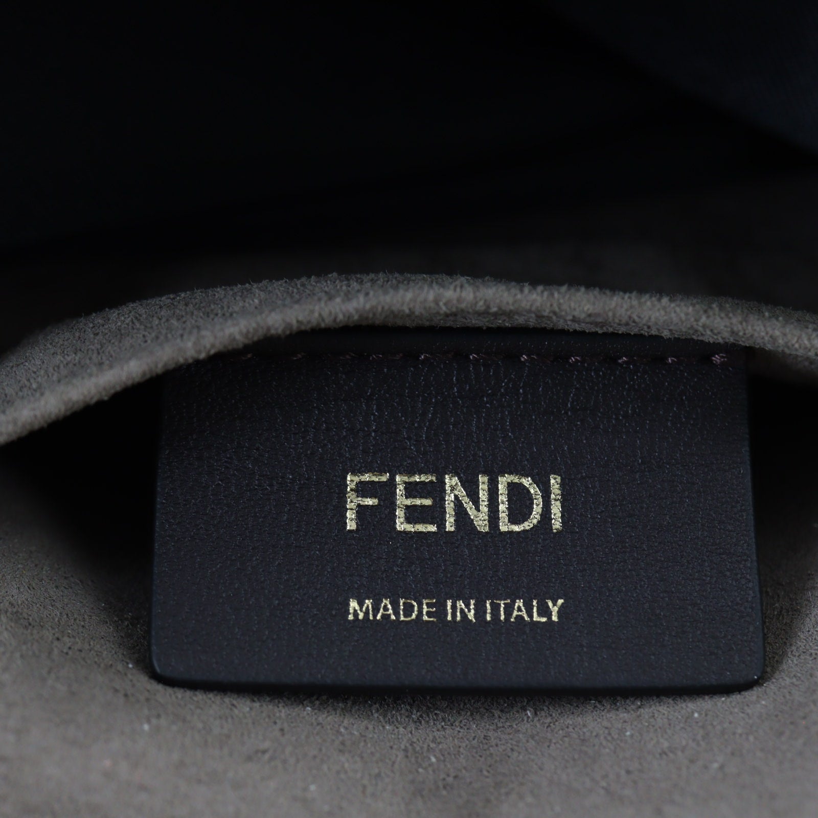 Fendi FF 1974 Chain Bag_IMG_4460.jpg
