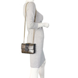 Fendi FF 1974 Chain Bag_IMG_4635.jpeg