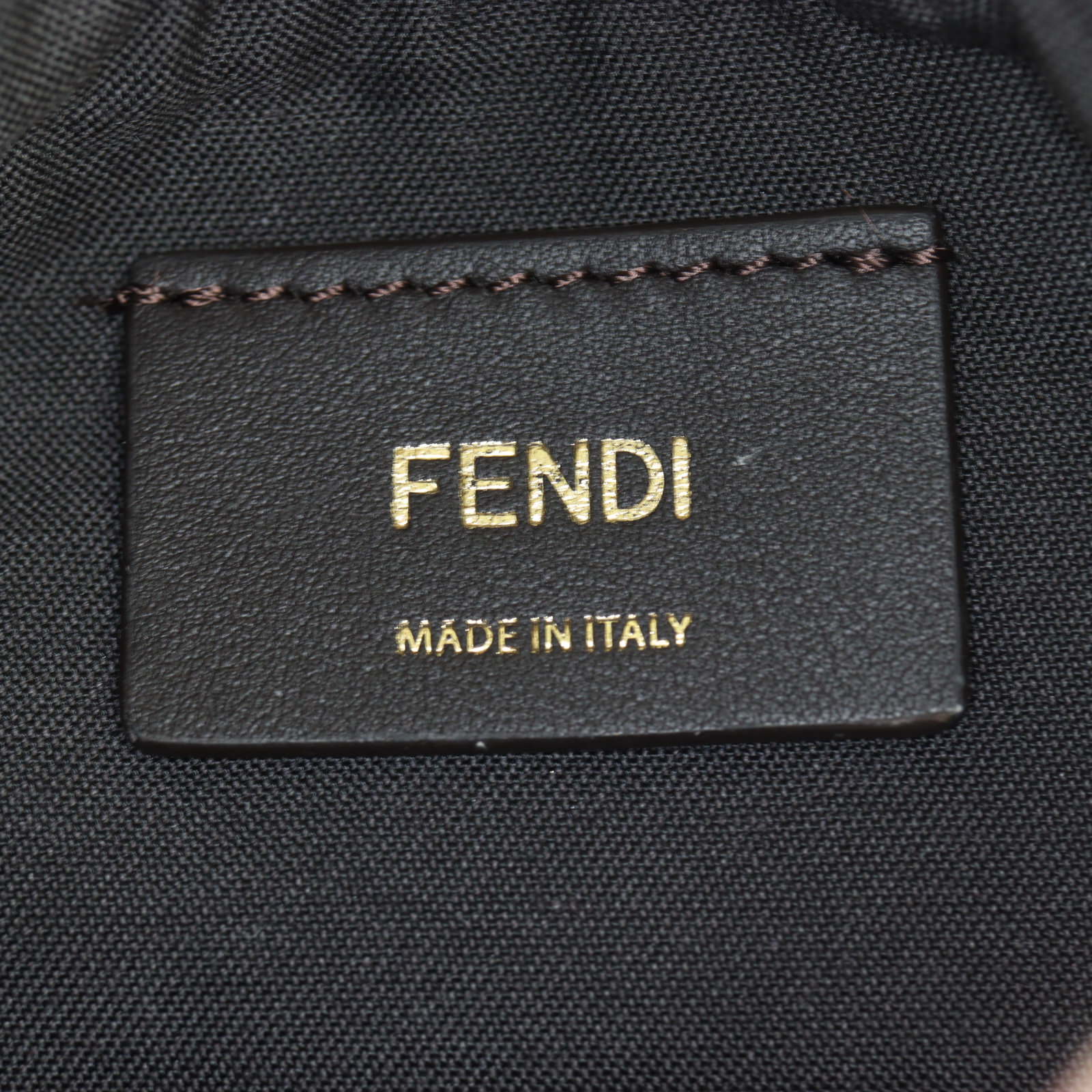 Fendi Fendigraphy Mini_IMG_3584.jpg
