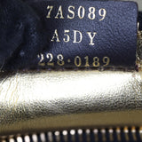 Fendi Fendigraphy Mini_IMG_8551.jpg