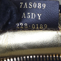 Fendi Fendigraphy Mini_IMG_8551.jpg