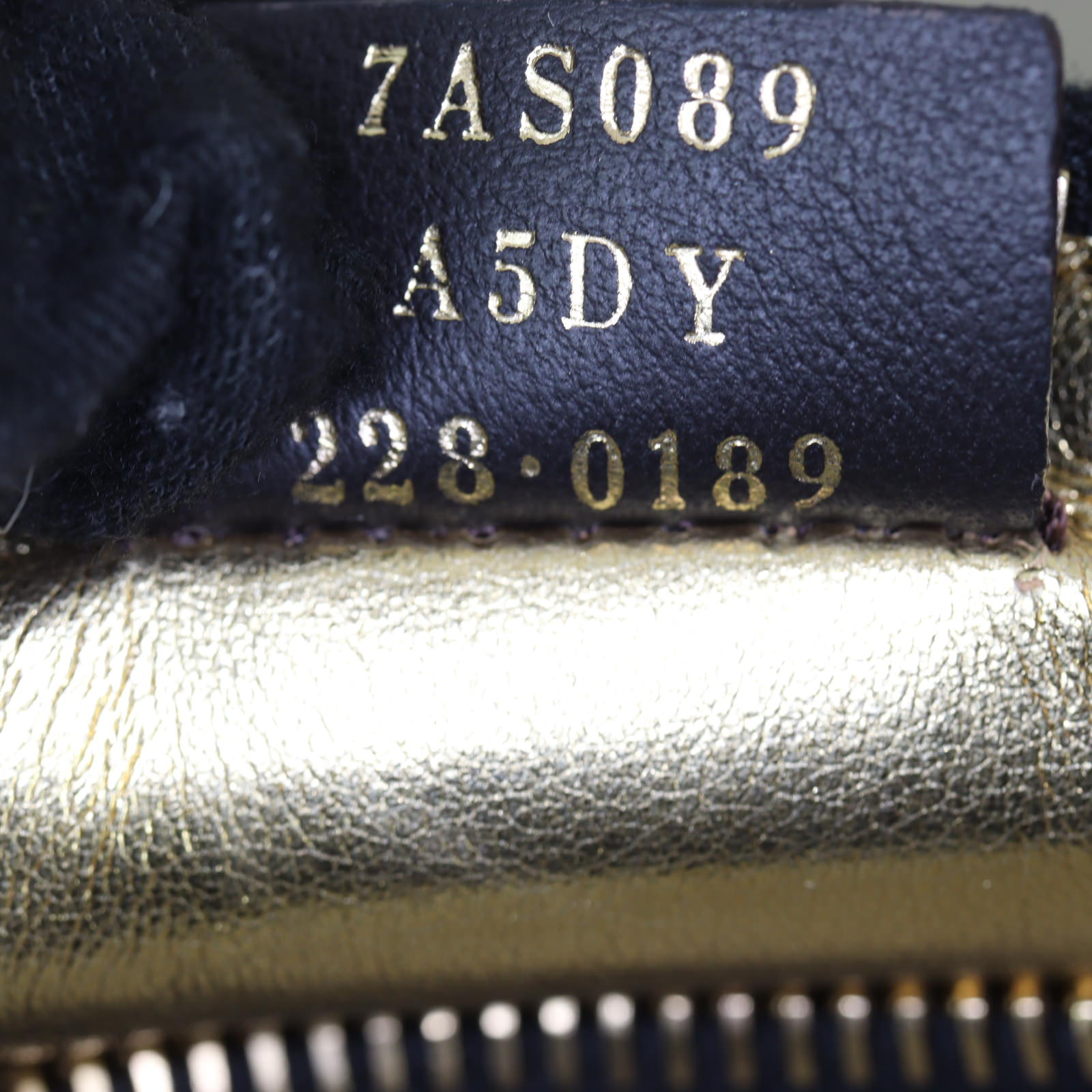 Fendi Fendigraphy Mini_IMG_8551.jpg
