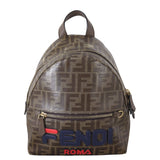 Fendi Logo Zucca Backpack_IMG_5068.jpg
