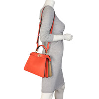 Fendi Peekaboo IseeU Small_IMG_9878.jpeg