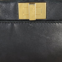 Fendi Peekaboo Micro_IMG_0549.jpg