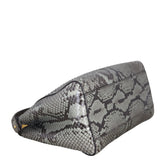 Fendi Peekaboo Mini Python_IMG_6485.jpeg