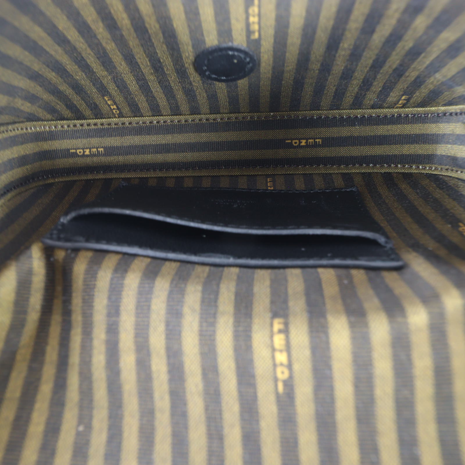 Fendi Satin Phone Baguette_IMG_4921.jpg