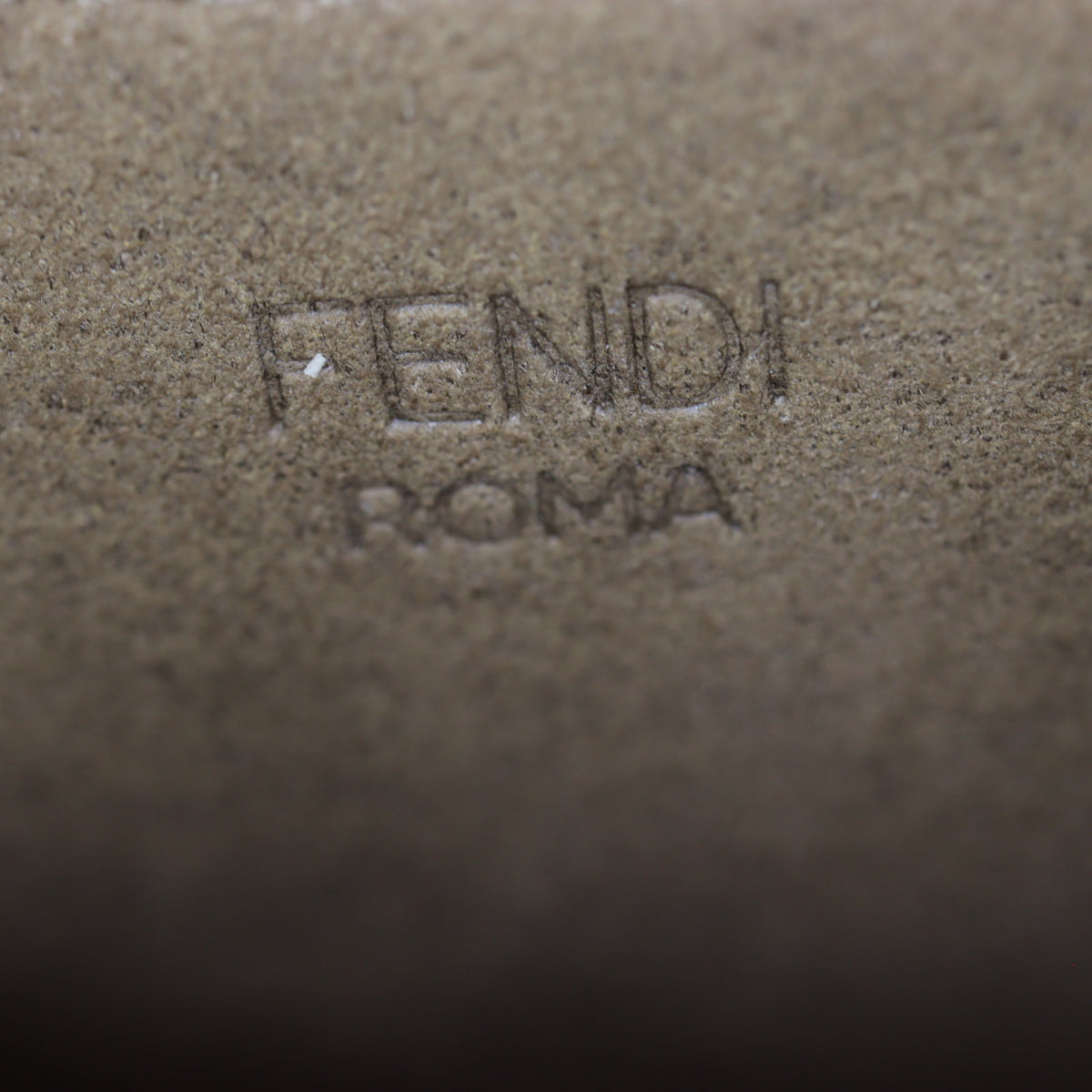 Fendi Sunshine Shopper Medium_IMG_4273.jpg