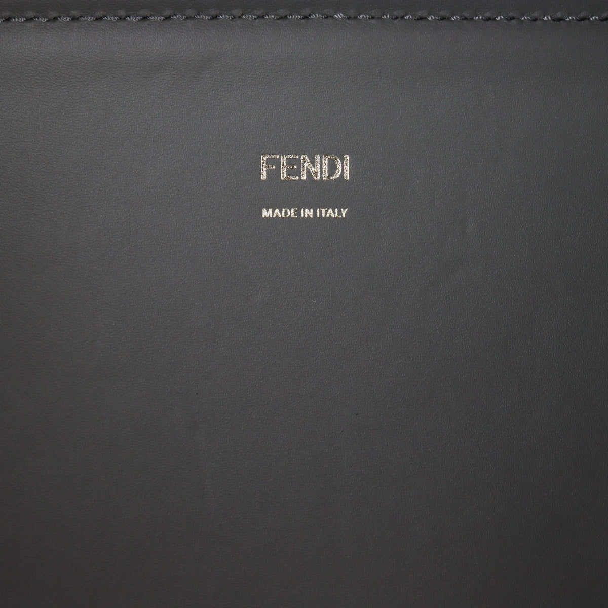 Fendi Sunshine Shopper Medium_IMG_5304.jpg