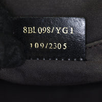 Fendi Zucchino Boston Bag_IMG_1501.jpg