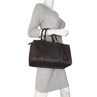 Fendi Zucchino Boston Bag_IMG_1999.jpeg