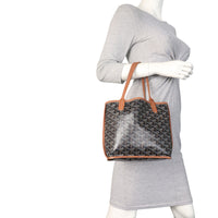 Goyard Anjou Mini Bag_IMG_0091.jpeg