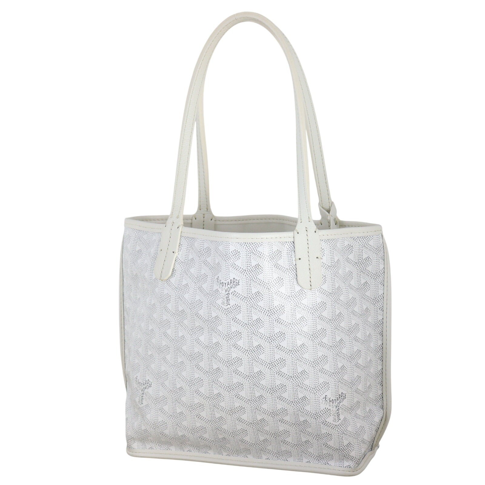 Goyard Anjou Mini Bag_IMG_4662.jpeg
