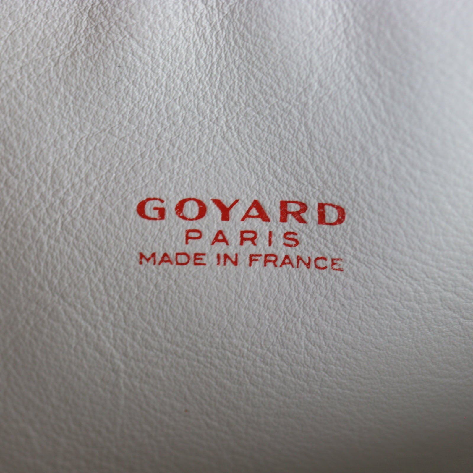 Goyard Anjou Mini Bag_IMG_4664.jpg