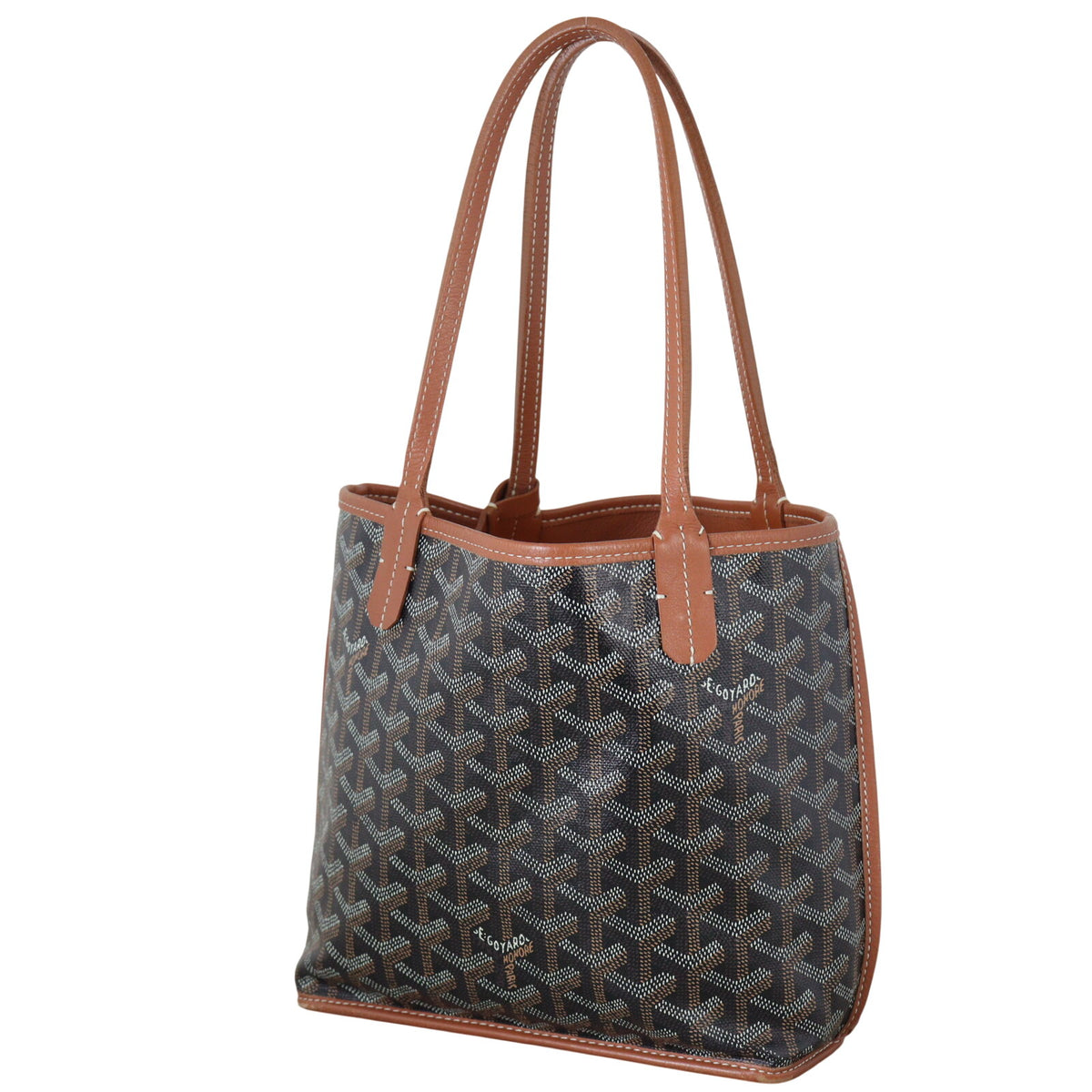 Goyard Anjou Mini Bag_IMG_9889.jpeg