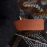 Goyard Anjou Mini Bag_IMG_9892.jpg