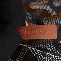 Goyard Anjou Mini Bag_IMG_9892.jpg