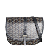 Goyard Belvedere PM Goyardine_IMG_5328.jpg