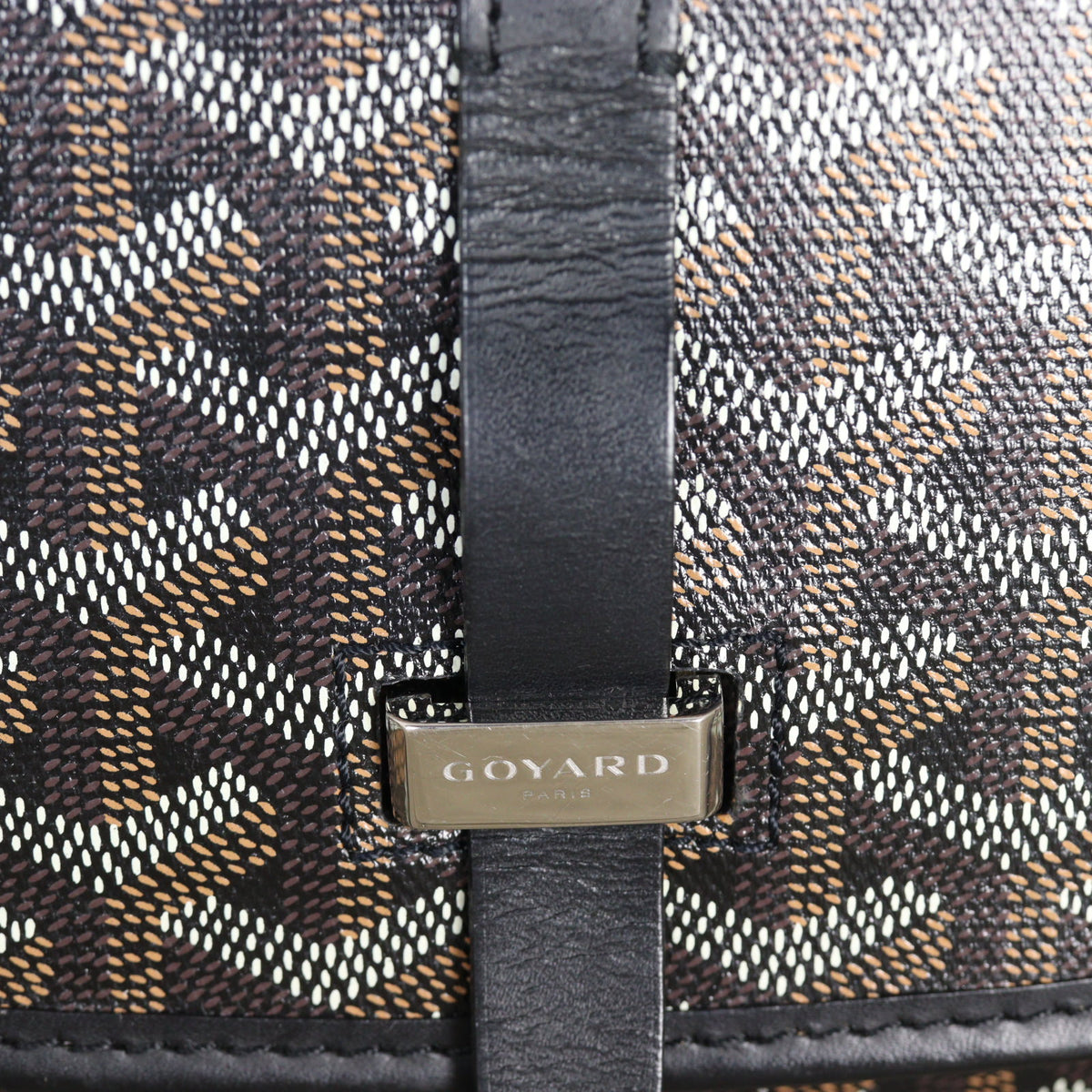 Goyard Belvedere PM Goyardine_IMG_5329.jpg