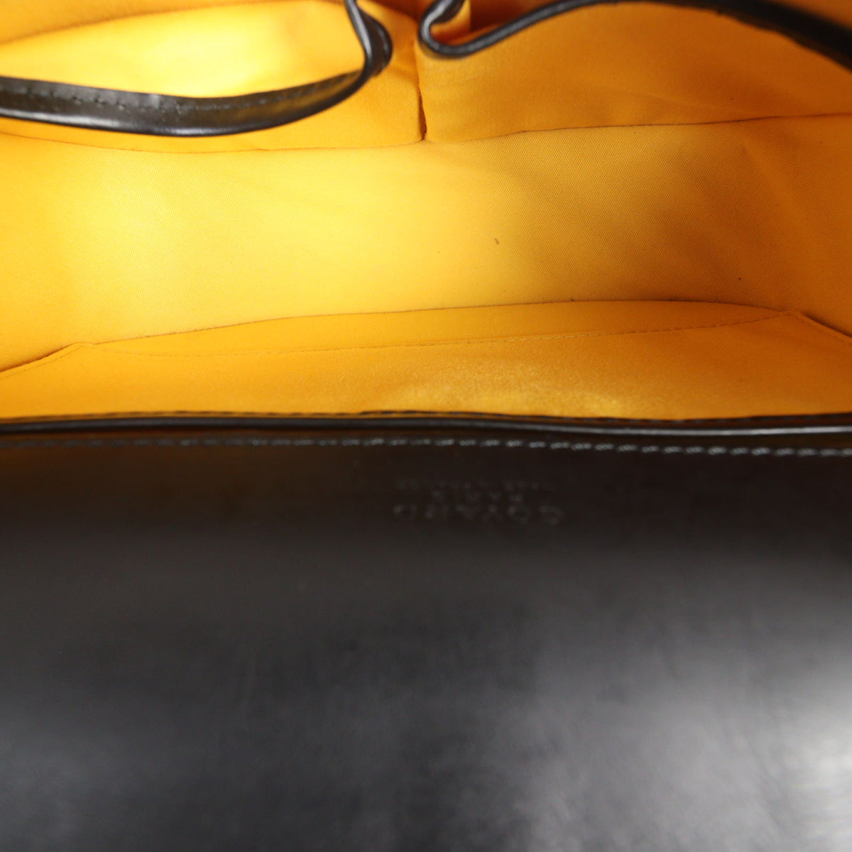 Goyard Belvedere PM Goyardine_IMG_5335.jpg