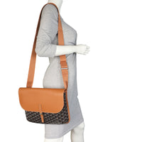 Goyard Coursier Messenger Goyardine_IMG_5944.jpeg