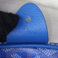 Goyard St Louis PM Goyardine_IMG_0833.jpg