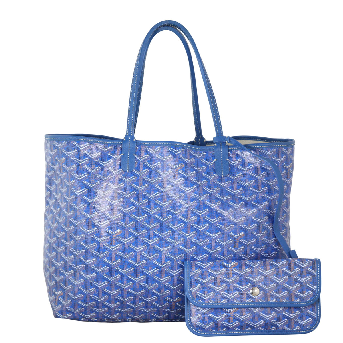 Goyard St Louis PM Goyardine_IMG_3139.jpeg