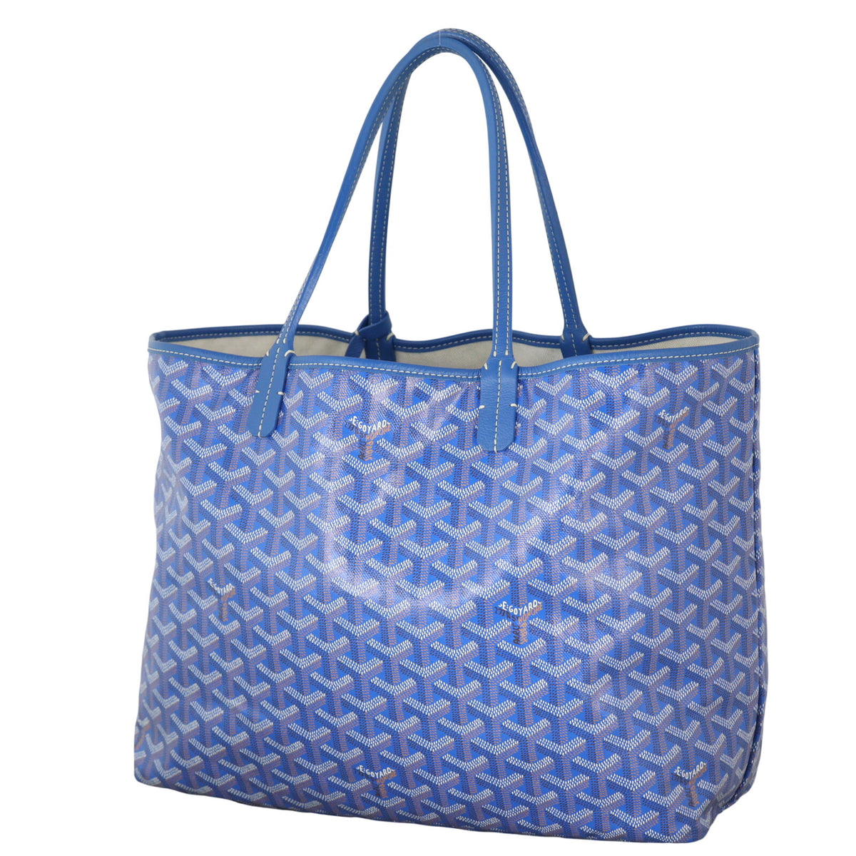 Goyard St Louis PM Goyardine_IMG_3141.jpeg