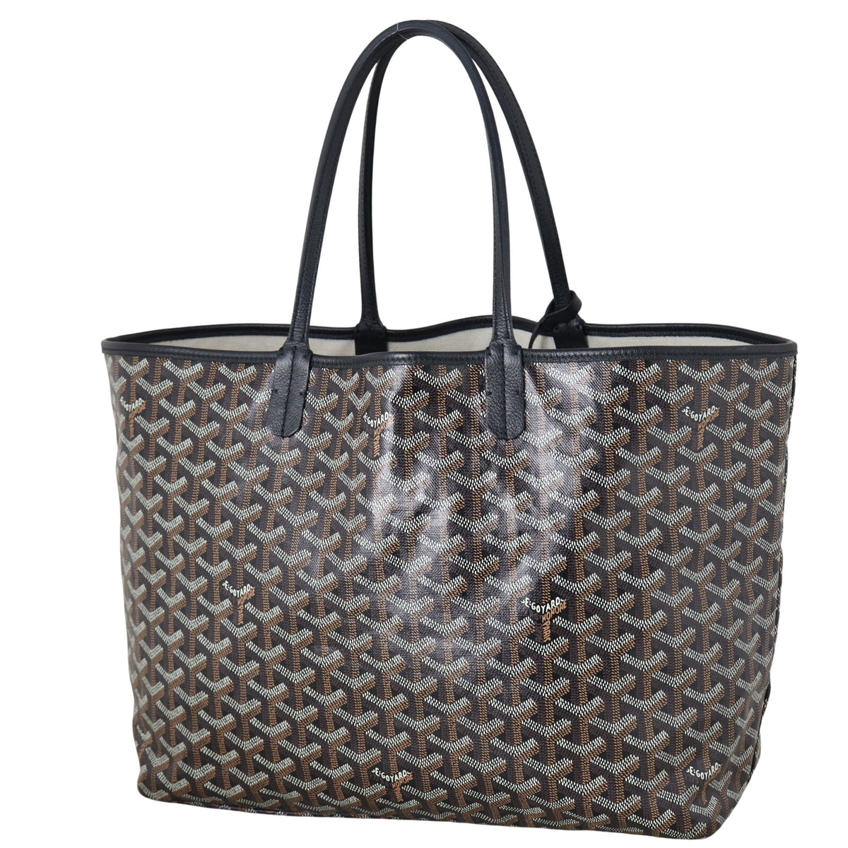 Goyard St Louis PM Goyardine_IMG_5205.jpeg