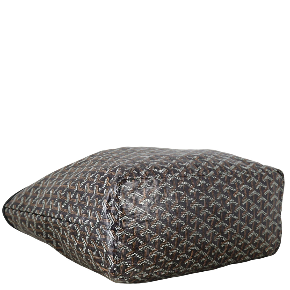 Goyard St Louis PM Goyardine_IMG_5206.jpeg