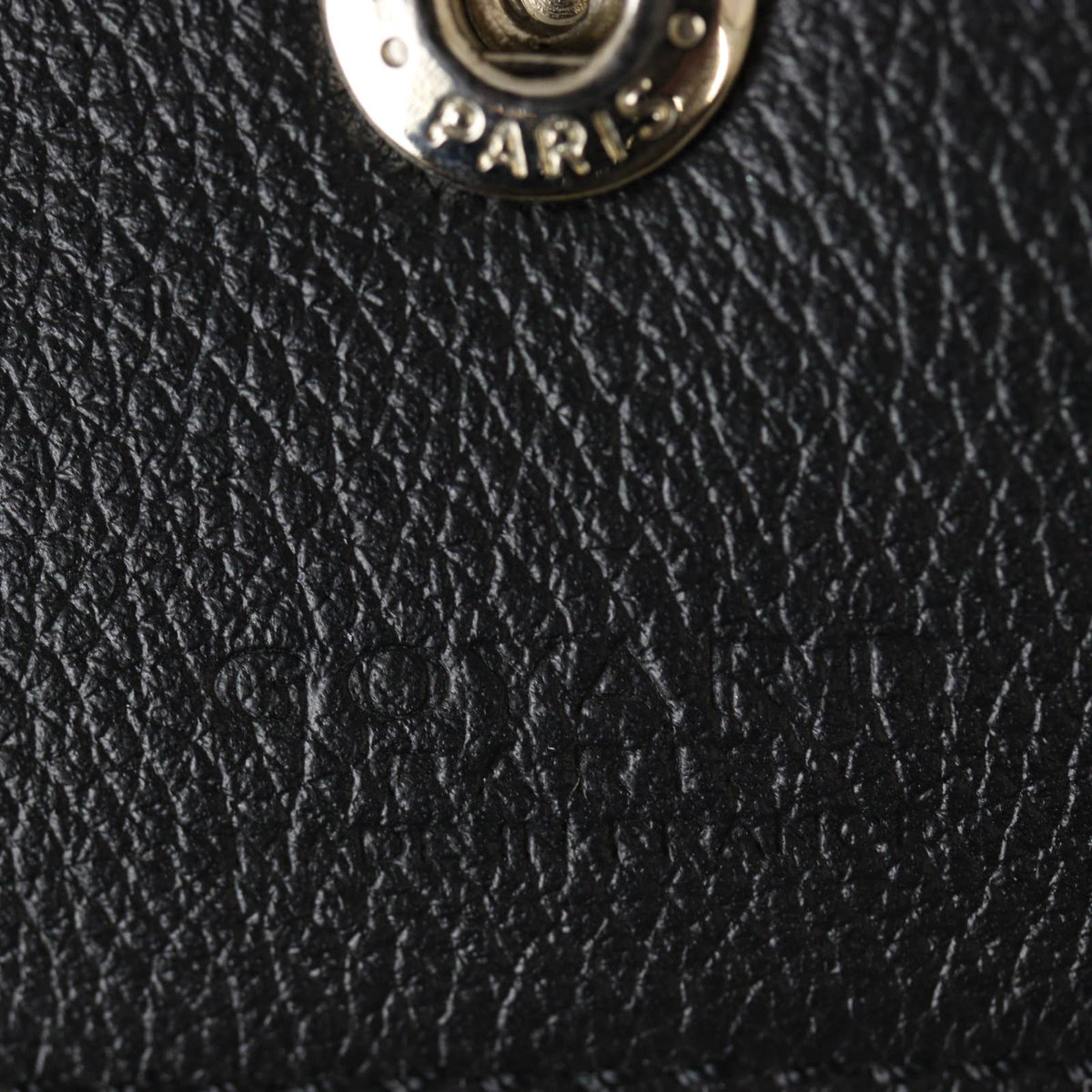 Goyard St Louis PM Goyardine_IMG_5207.jpg