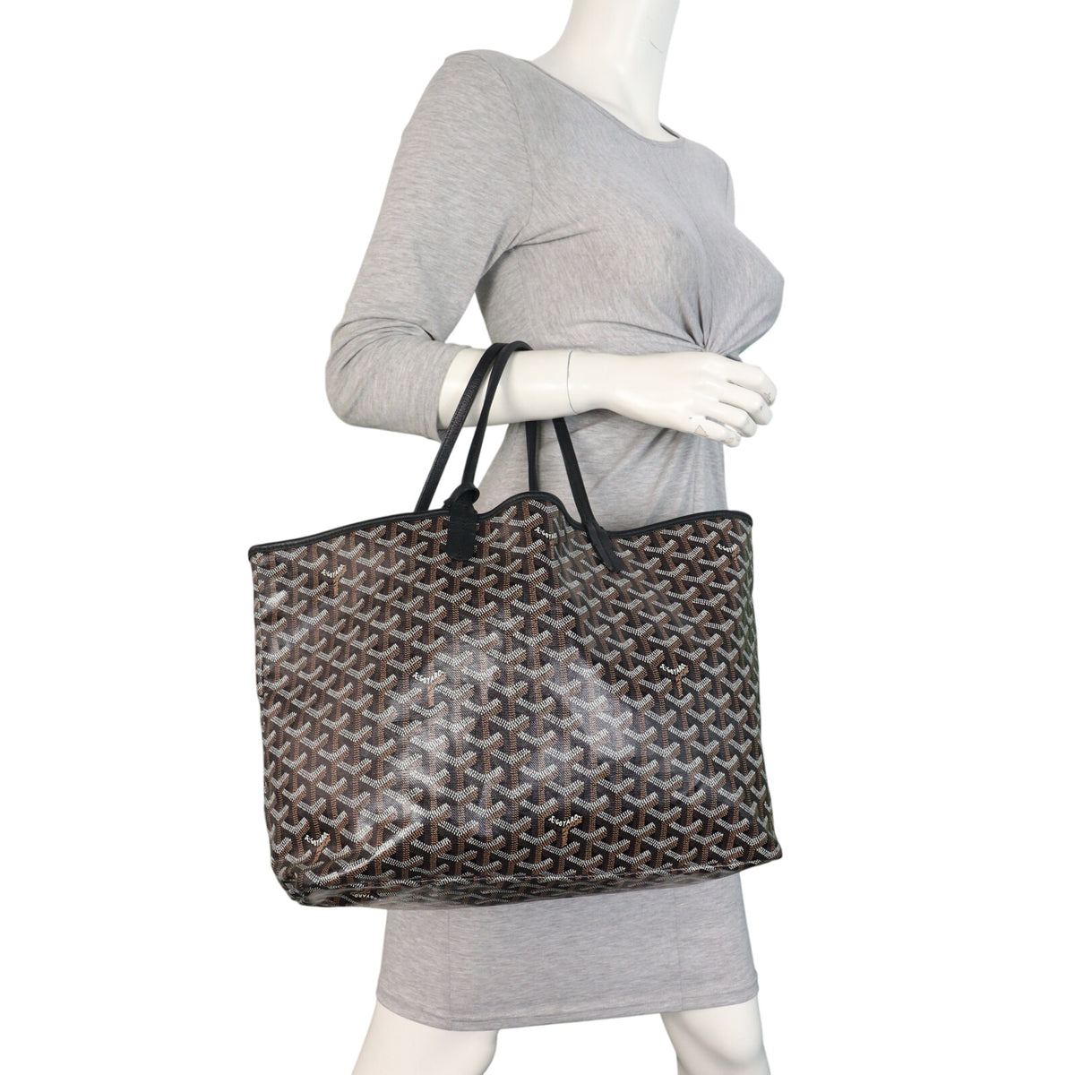 Goyard St Louis PM Goyardine_IMG_5400.jpeg