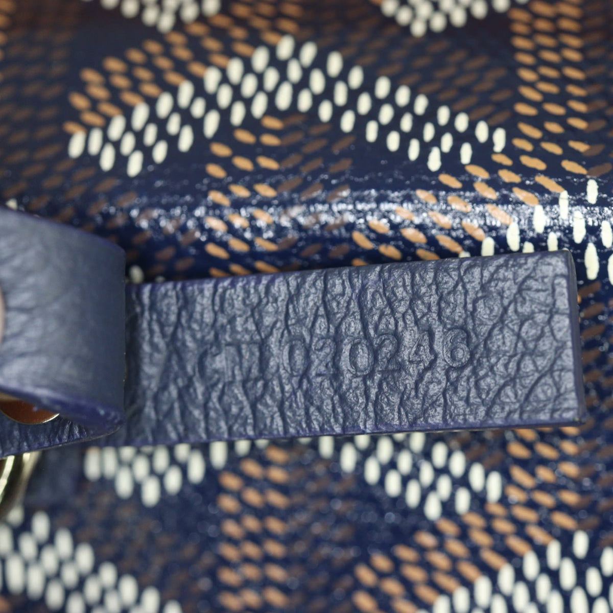 Goyard St Louis PM Goyardine_IMG_5627.jpg