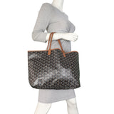 Goyard St Louis PM Goyardine_IMG_5705.jpeg