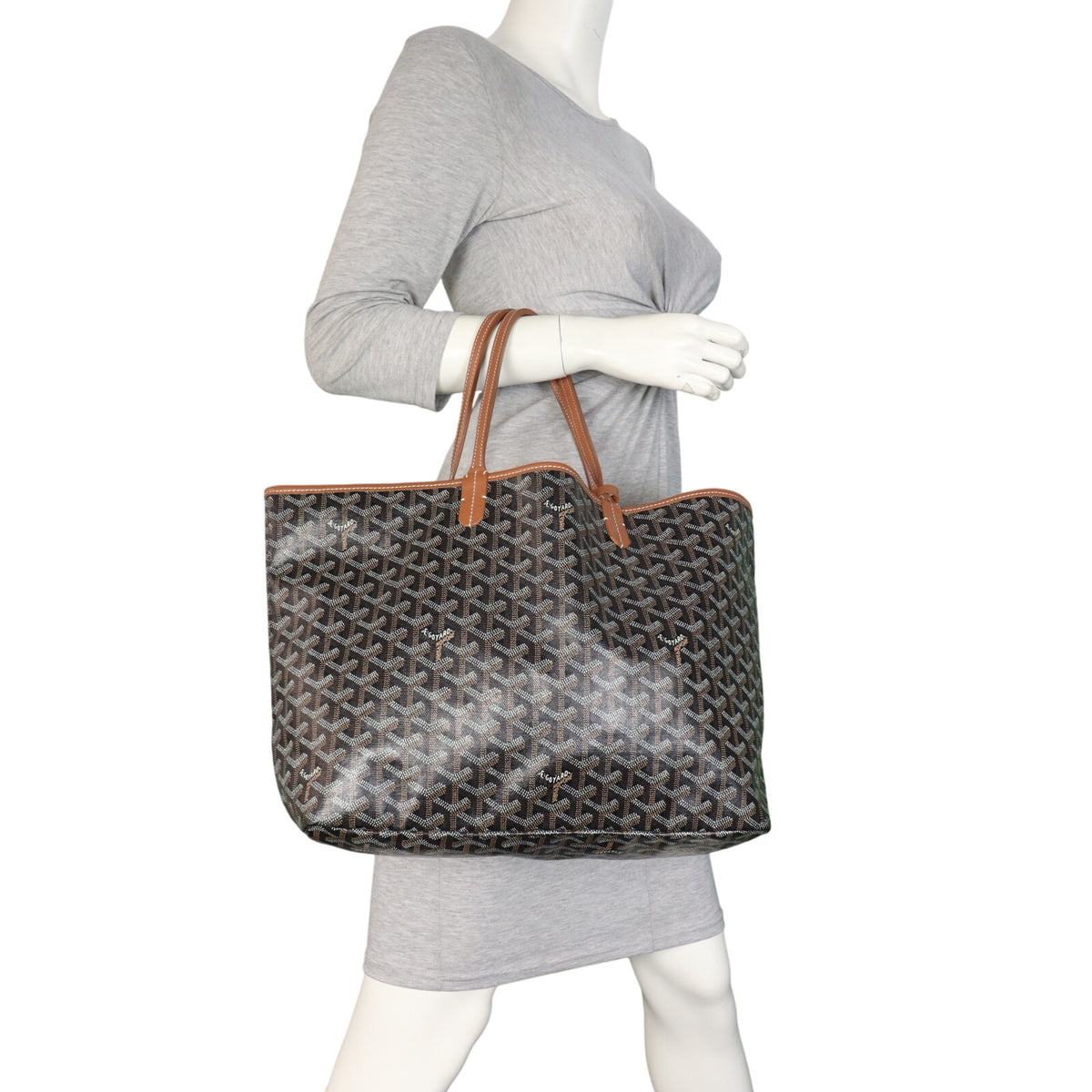 Goyard St Louis PM Goyardine_IMG_5705.jpeg
