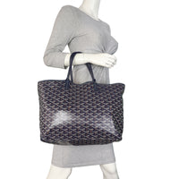 Goyard St Louis PM Goyardine_IMG_5727.jpeg