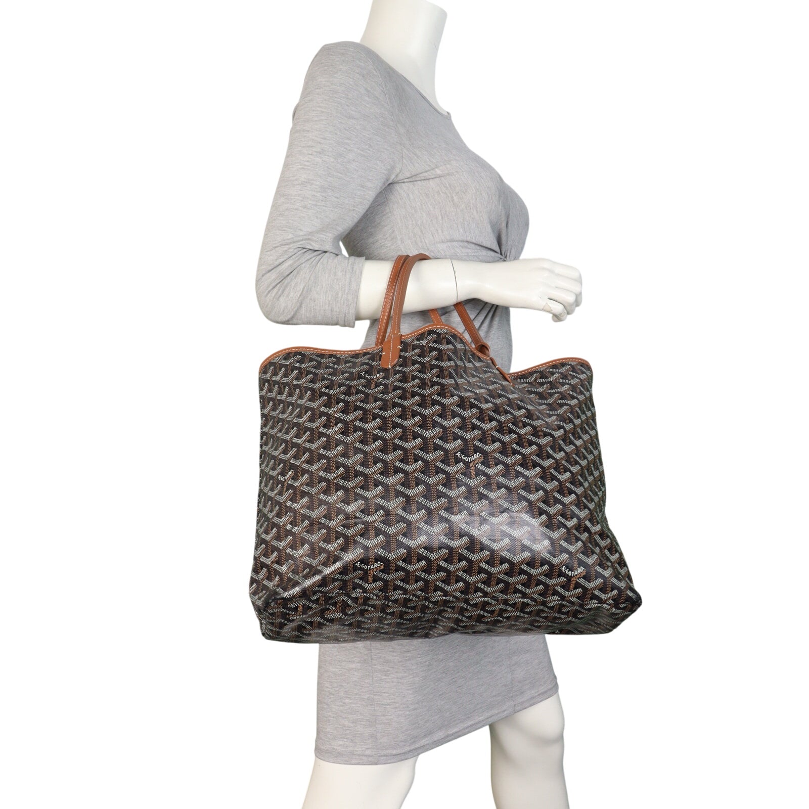 Goyard St Louis PM Goyardine_IMG_8618.jpeg