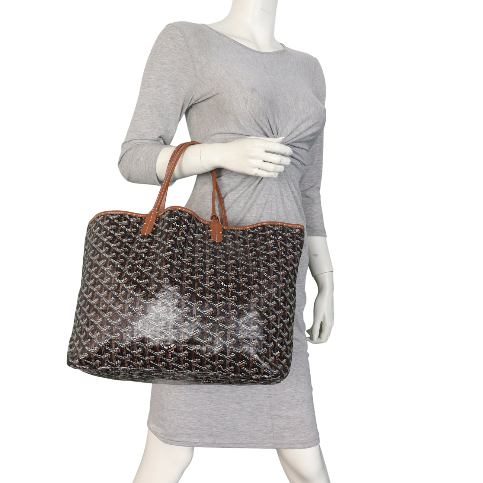 Goyard St Louis PM Goyardine_IMG_9464.jpeg